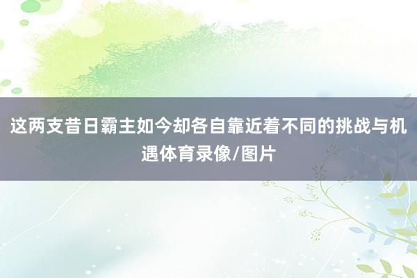 这两支昔日霸主如今却各自靠近着不同的挑战与机遇体育录像/图片