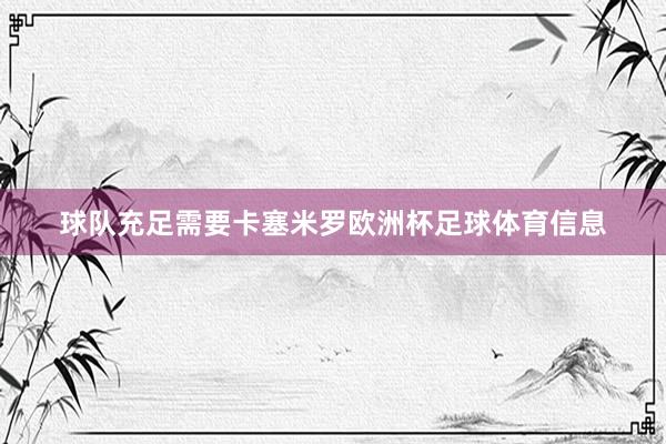 球队充足需要卡塞米罗欧洲杯足球体育信息