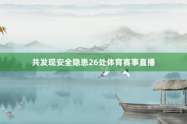 共发现安全隐患26处体育赛事直播