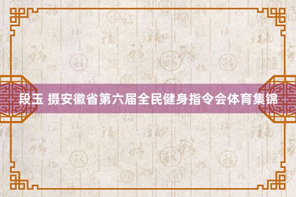 段玉 摄安徽省第六届全民健身指令会体育集锦