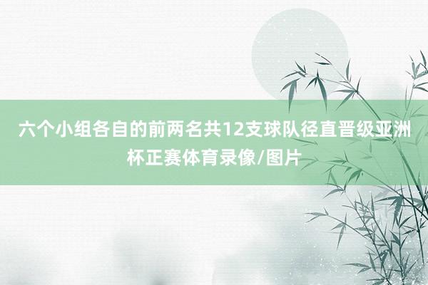 六个小组各自的前两名共12支球队径直晋级亚洲杯正赛体育录像/图片