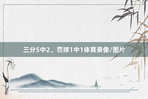 三分5中2、罚球1中1体育录像/图片