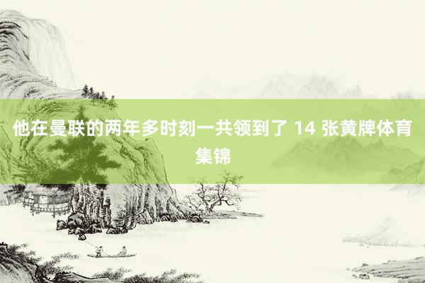 他在曼联的两年多时刻一共领到了 14 张黄牌体育集锦