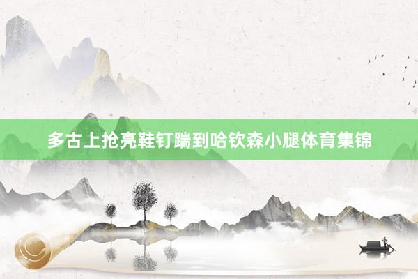 多古上抢亮鞋钉踹到哈钦森小腿体育集锦