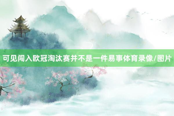可见闯入欧冠淘汰赛并不是一件易事体育录像/图片