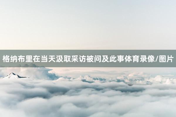 格纳布里在当天汲取采访被问及此事体育录像/图片